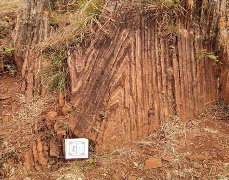 fig chevron fold   fold  folds   hinge  symmetrical