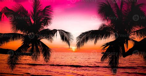 Beautiful sunset on the tropical sea beach.Silhouette of palm trees on