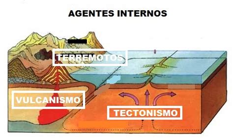 Agente Internos E Externos