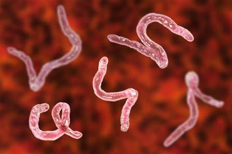 Parasite Paradigm – Breaking News! Dr Lee Merritt – Bio-Sil South Africa