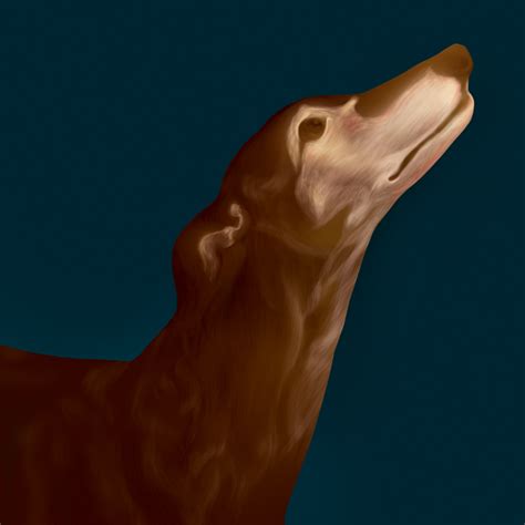 Breed on Behance