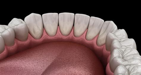 teeth numbers study shows   numbering system