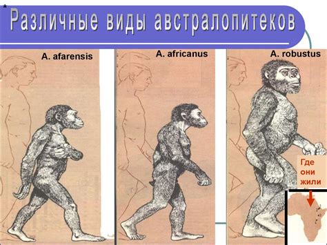 Предыстория человеческого общества - online presentation