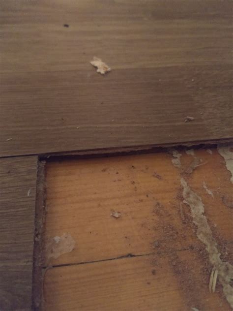 Hvor mye isolerer egentlig gulvunderlag - ByggeBolig