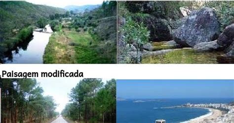 O Que É Paisagem Antrópica - GEOGRAFIA Newton Almeida: Por que a Paisagem Natural é Transformada ou ...