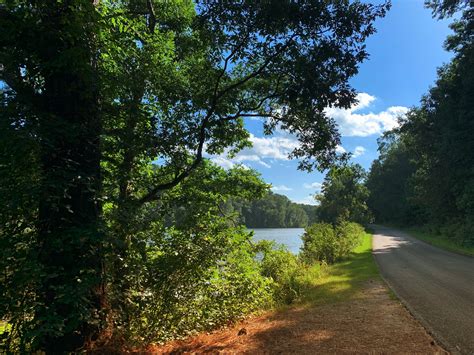 Lake Russell Recreation Area Reviews updated 2025