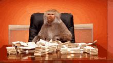 Monkey Money GIF - Monkey money - Discover & Share GIFs