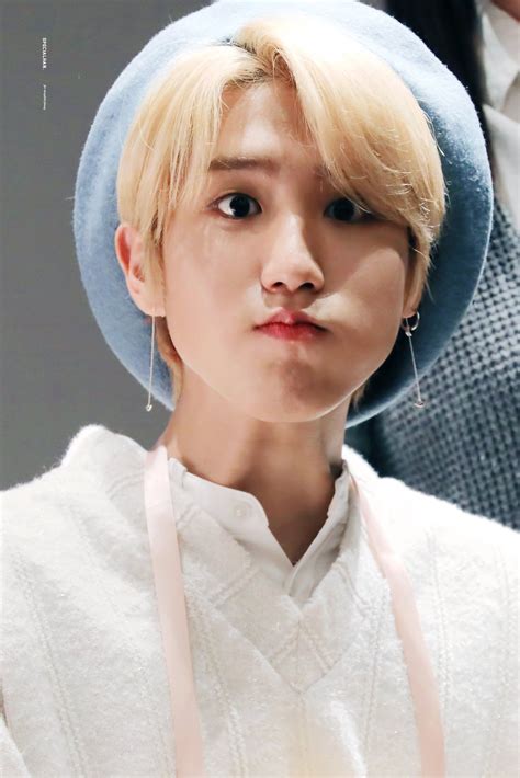 specialhan  twitter  straykids