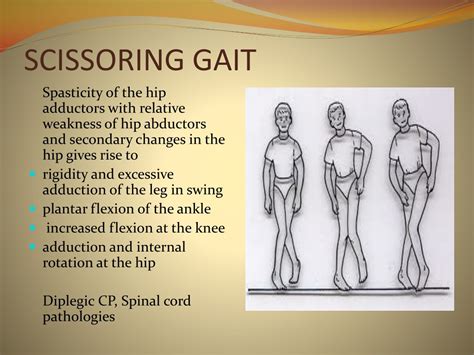 PPT - GAIT: NORMAL, ABNORMAL & ASSESSMENT PowerPoint Presentation - ID