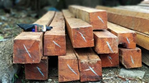 4 Fungsi Bantalan Decking Kayu yang Jarang Dibahas! - Rajawali Parquet