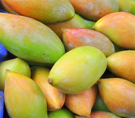 kalmi mango   price  kadapa id   raw mango company