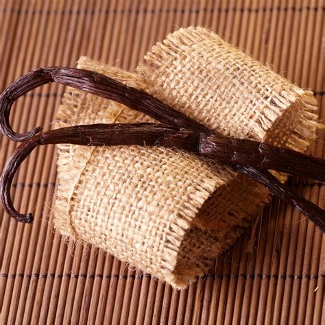 Vanilla, Pulp, Dried Fruit & Others | Cocoa Supply | Specialty Ingredients