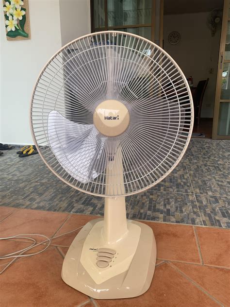 On vacay in Thailand, I’m also a huge Hatari fan 🇮🇸 : r/eurovision
