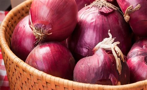 10 Contoh Umbi Lapis Beserta Ciri, Gambar & Penjelasannya