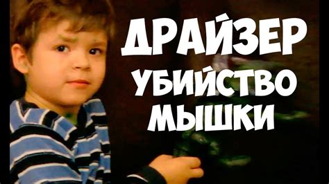 Соционика. Драйзер - ребенок.. Убийство мышки. Видео. - YouTube