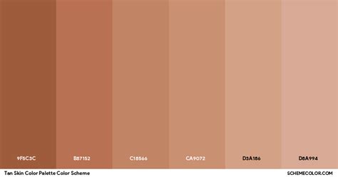 tan skin color palette color scheme palettes schemecolorcom
