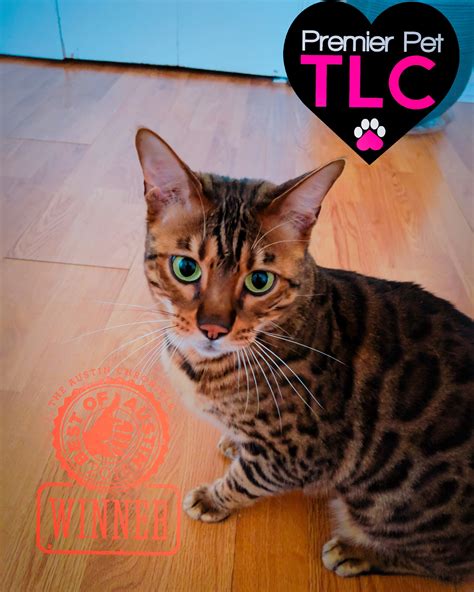 Samantha Nielsen - Austin Pet Sitters Organization