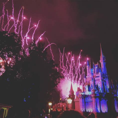 Alyssa Michelle Photography