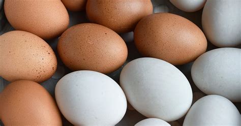 Duck Eggs vs. Chicken Eggs: Nutrition, Benefits, and More