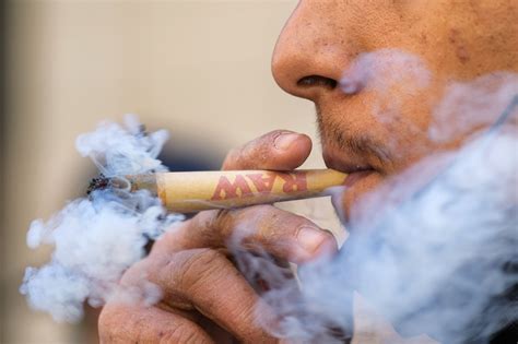 benefits  smoking marijuana morebranches