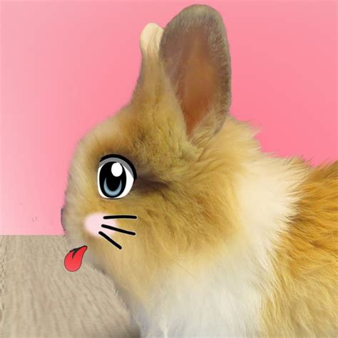 AMLnZu_G8CUu6KeIpMgC8yx7Ct425epnaetkjXgkxuVRlw=s900-c-k-c0x00ffffff-no-rj