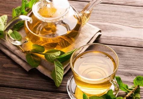 Tipos De Chas Verdes - 20 tipos de chá: os chás verde, preto, verde, branco, oolong e muito ...