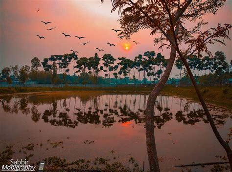 Wild Beauty Of Bangladesh's Landscape Revealed By Cameraman's Stunning ...