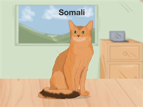 pet cats that look like leopards