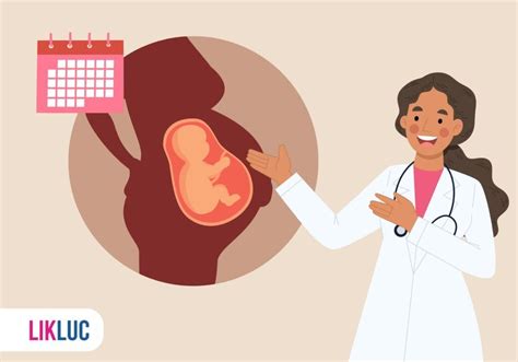 Com Quantos Meses Começa A Sair Colostro Na Gravidez - Lactação e colostro materno: diferenças e importância