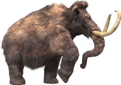 Mammut PNG