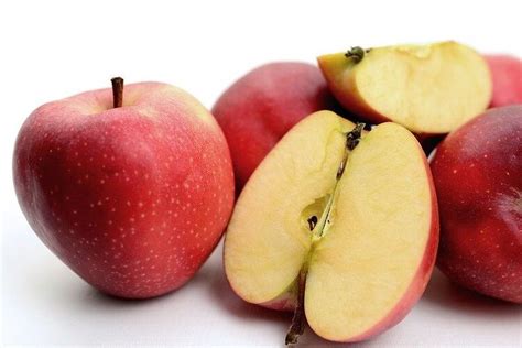 berita buah beri terbaru hari  bobo