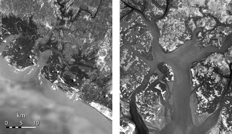 aerial photographs showing linear sandy chenier ridges  estuarine