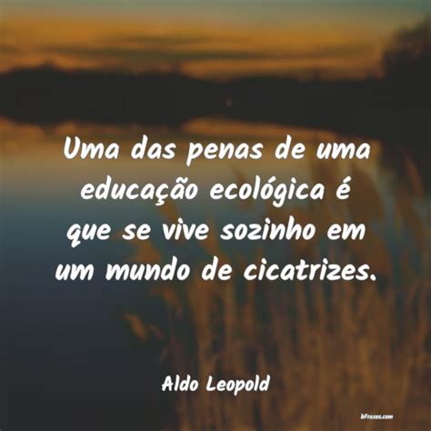 Frases Sobre Educação Ambiental