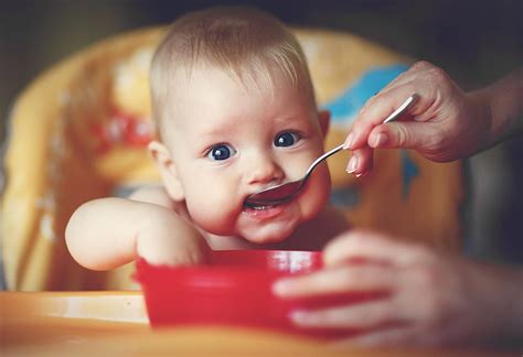 Organic Appetite Stimulant For Toddlers | Kids Matttroy