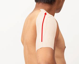 肩のテーピングの巻き方 – 肩 テーピング 自分で – BSKRS