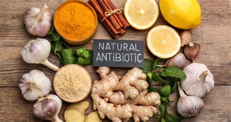Natural Antibiotics For Tooth Infection: Choose Right Remedy