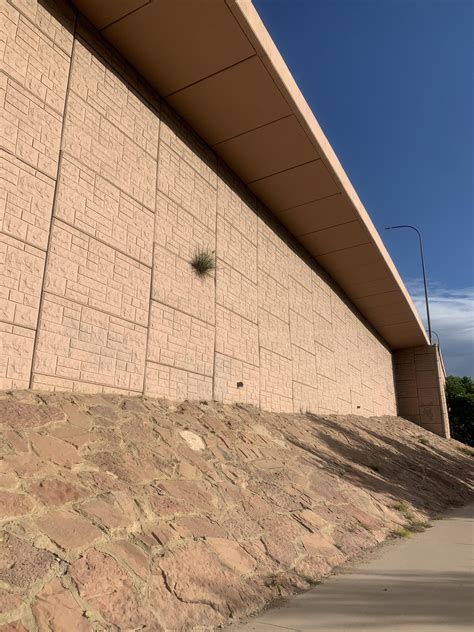 Doctors hate him. What is his secret? : r/houseplantscirclejerk