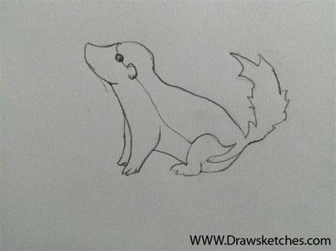 Honey Badger Sketch at PaintingValley.com | Explore collection of Honey ...