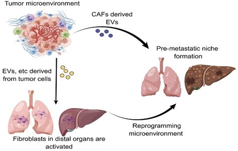 Volume 20, Issue 3 - ijbs 