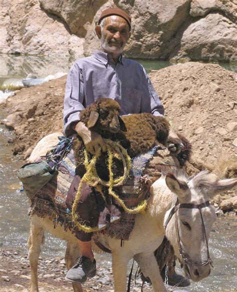 Iran Nomads photo gallery: images of nomads of Iran | Iran Doostan Tours