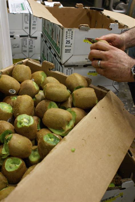 Refreshing Kiwi Sour Cocktail