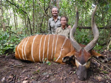 Hunting in Cameroon forest - Fauna Safari Club | Your African Hunting