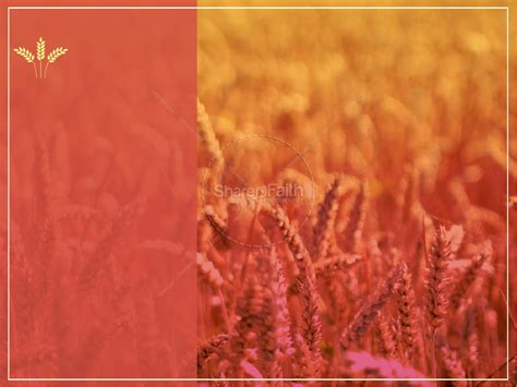 Church Harvest Celebration PowerPoint | Clover Media
