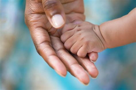 Discover the Heartwarming Moment: A Babys Arrival on The West Wing - Hunter Games Magazine