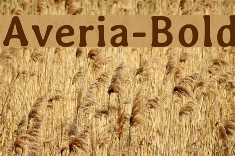 Averia-Bold Font - FFonts.net