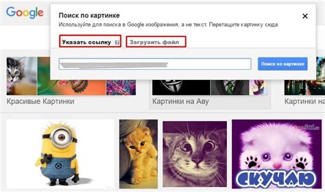 Как сделать поиск по фото в Инстаграм определенного человека?