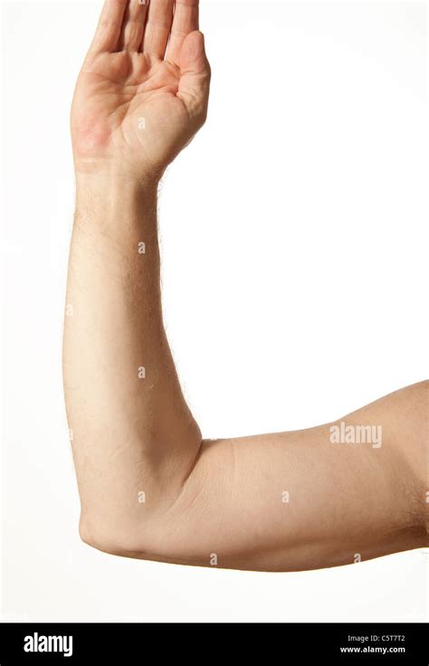 Human Arms