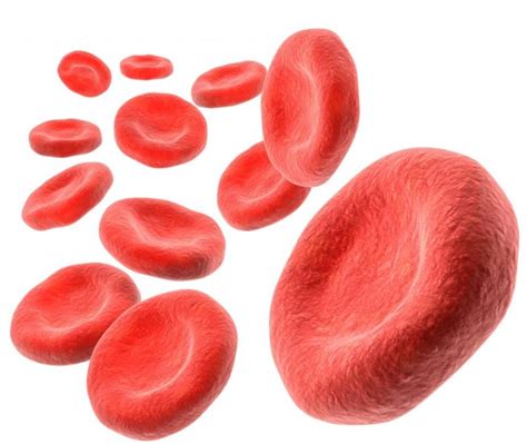 hemoglobin  health guide