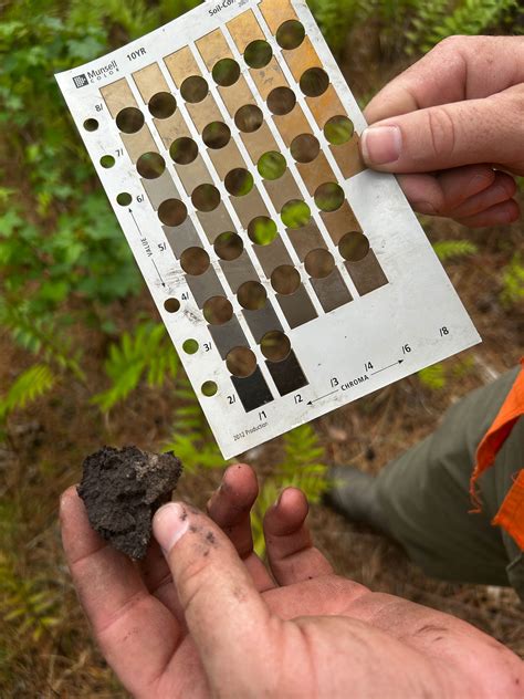 Mapping the Future: How wetland mitigation banking balances