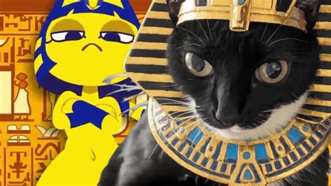 xana  cat